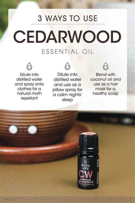 Organic Cedarwood Essential Oil Buy Premium Essential Oils Online Oleu Life Oleu Life