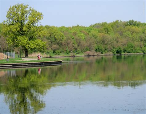 Parcul Dendrologic Din Chitila Plimbarea De Primavara Foto Video