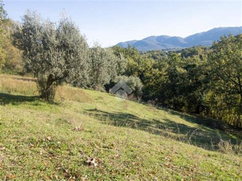 Terreno Agricolo Via Romana Vecchia Torri In Sabina Rif