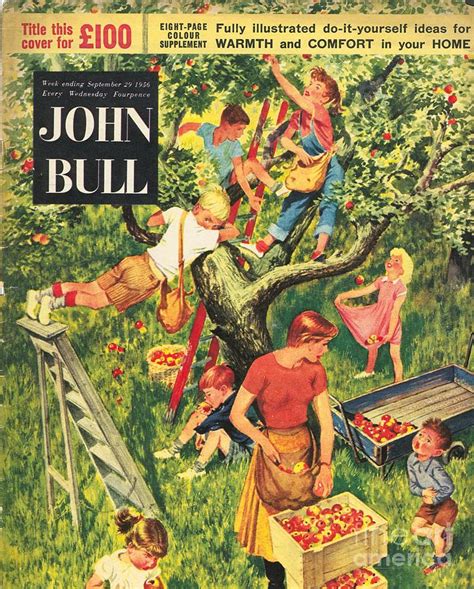 John Bull 1950s Uk Picking Apples Drawing By The Advertising Archives