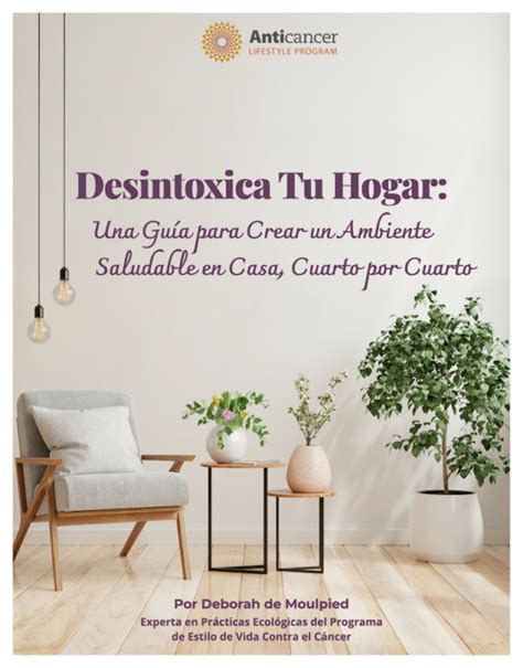 Desintoxica Tu Hogar Una Gu A Para Crear Un Ambiente Saludable En Casa