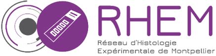 R Seau D Histologie Exp Rimentale De Montpellier Rhem Siric