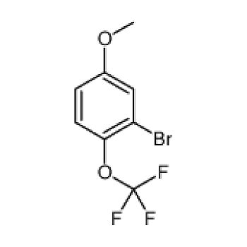 Aladdin 阿拉丁 2 溴 4 甲氧基 1 三氟甲氧基 苯 B189501 1g 实验室用品商城