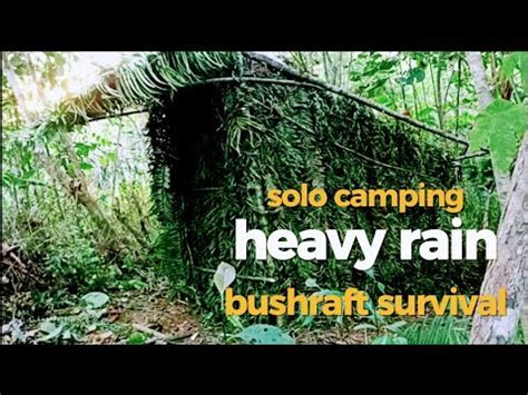 Solo Camping Hujan Deras Membangun Shelter Yg Hangat Di Hutan Borneo