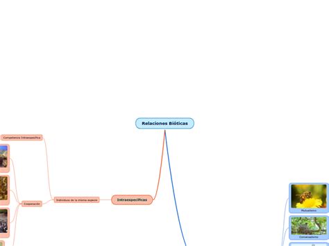 Relaciones Bi Ticas Mind Map