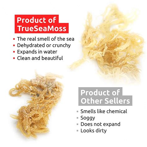 Trueseamoss Raw Organic Irish Sea Moss 1lb Wildcrafted Clean And Sundried Vegan Drink Supplement