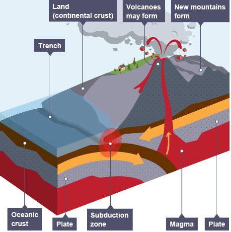 Geography Tectonic Hazards Flashcards Quizlet