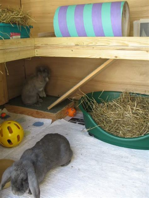 Outdoor Housing Tips Examples Page 2 Rabbits United Forum