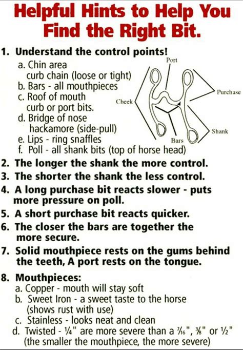 how to measure a horse 5