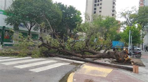 El fuerte temporal provocó importantes destrozos en Resistencia