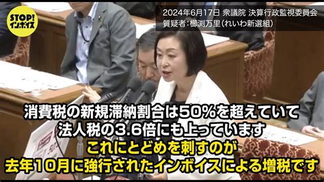 【国会中継】衆議院決算行政監視委員会 櫛渕万里議員（2024年6月17日）「消費税の新規滞納割合は50を超えていて法人税の36倍。これに