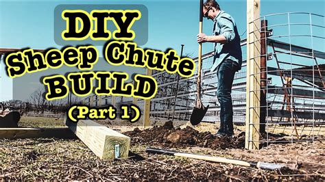 Diy Sheep Chute Build Part 1 Homemade Handling System For Sheep