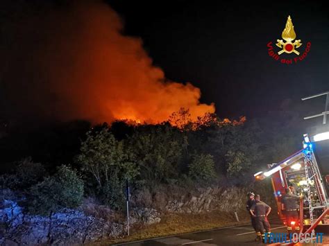 Incendio Sul Carso Tornano In Azione I Canadair E Gli Elicotteri