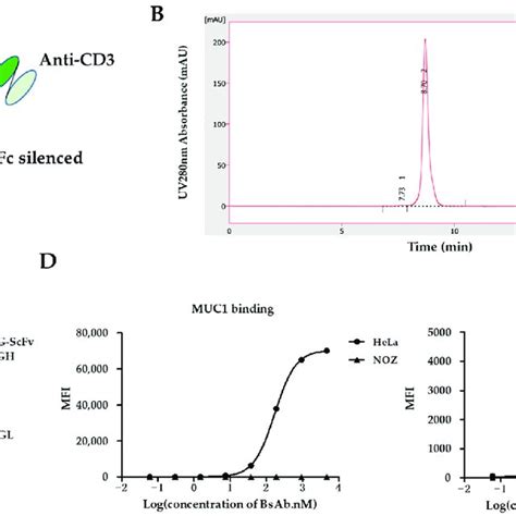 Generation Of MUC1 CD3 BsAb A Schematic Design Of MUC1 CD3 BsAb B