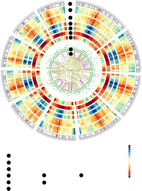 Circos Visualization Of Different Data At The Genome Wide Level A