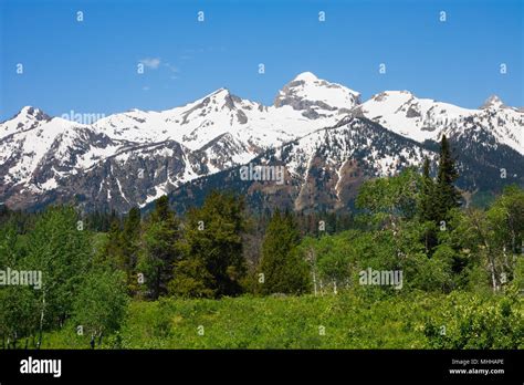 Bosque nacional grand teton fotografías e imágenes de alta resolución