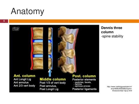 Spinal shock