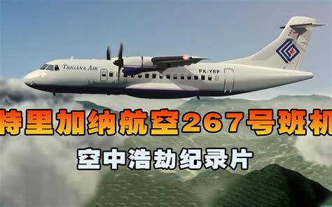 特里加纳航空267号班机，飞机降落时突然撞山坠毁，空中浩劫 蓝心科普纪 蓝心科普纪 哔哩哔哩视频