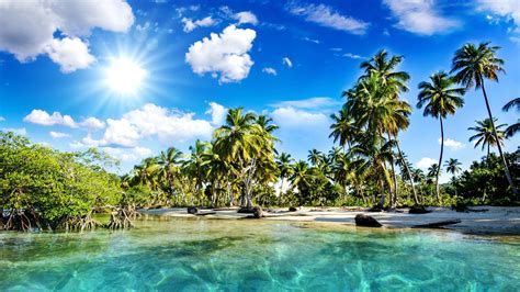 Fonds d écran Beau paysage tropiques plage palmiers mer soleil