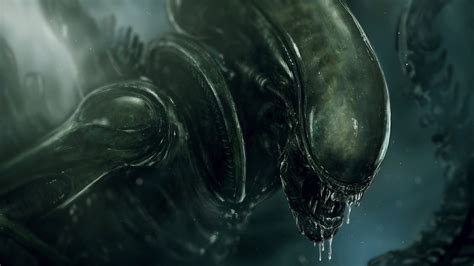 Xenomorph Hd Wallpapers