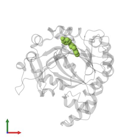 Pdb Rac Gallery Protein Data Bank In Europe Pdbe Embl Ebi