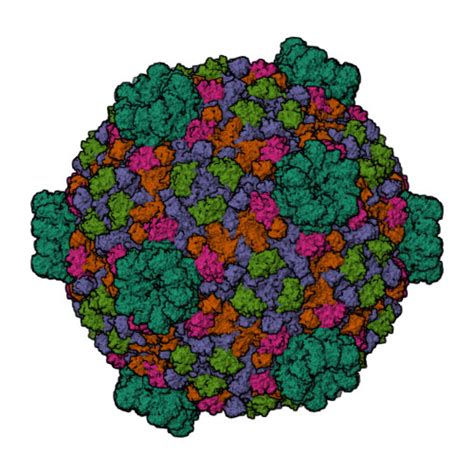 RCSB PDB 3JB0 Atomic Model Of Cytoplasmic Polyhedrosis Virus With GTP