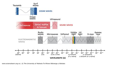 types  waves physics