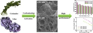 Two Biomass Material Derived Self Doped N O Porous Carbons From Waste