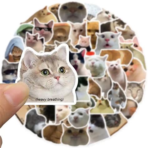 Funny Cat Meme Sticker Pack 50pcs Nufsed Sticker