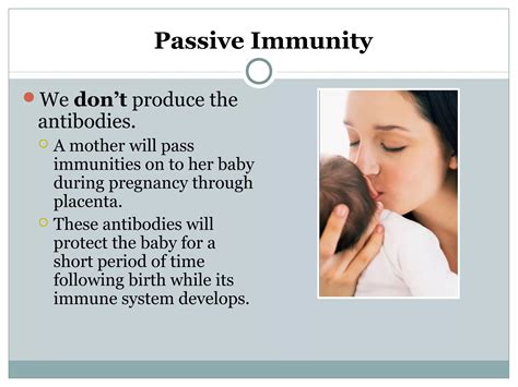 The human immune system | PPT