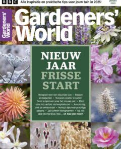 Framboos Snoeien Hoe En Wanneer Doe Je Dat Gardeners World