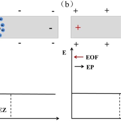 Schematic diagram of two kinds of ICP effects. a ICP effect at CEM... | Download Scientific Diagram