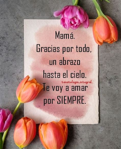 Pin De Yolanda Cervantes En Mam Frases De Bendiciones Frases Para