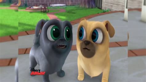 Puppy Dog Pals Uniendo Las Partes Teaser Youtube