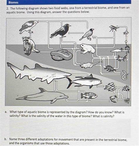 Solved Biomes 2 The Following Diagram Shows Two Food Webs One From A Terrestrial Biome And