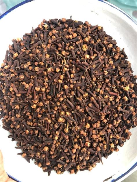 Brown Kerala Origin Dry Clove Whole Packaging Size 5 Kg At Rs 980 Kg