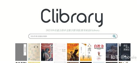 Z Library 稳定访问指南 知乎