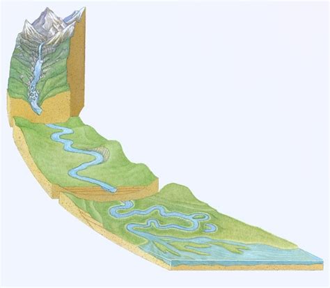 Rivers and their formations Diagram | Quizlet