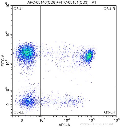 Cd8 Antibody Apc 65146 Proteintech 武汉三鹰生物技术有限公司