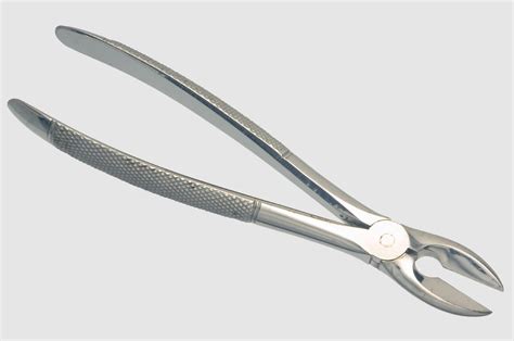 Lower Stumps Extracting Forceps Faculty Of Medicine Dentistry And