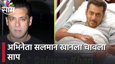 Actor Salman Khan अभिनेता सलमान खानला चावला साप पनवेल फार्म हाऊसवर असताना सर्पदंश Panvel