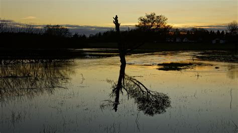 Reflection Steen Jeppesen Flickr