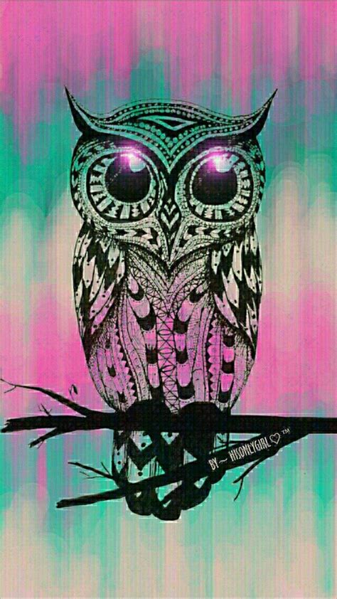 Cartoon Owl Wallpapers - Top Free Cartoon Owl Backgrounds - WallpaperAccess