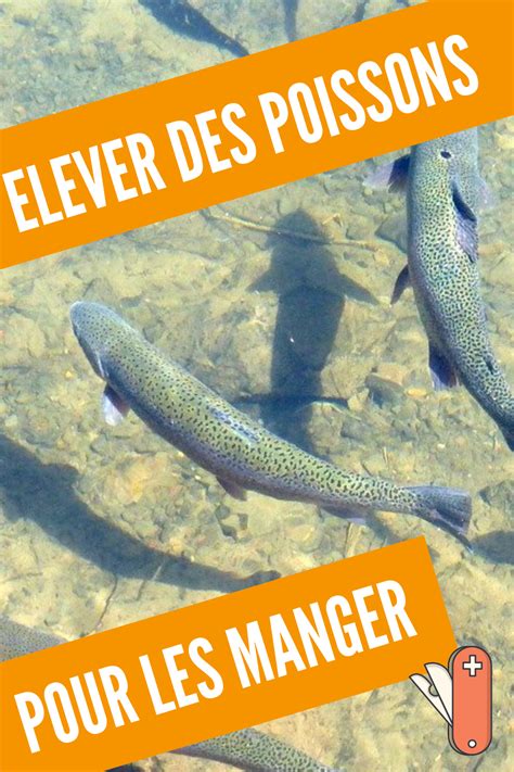 Lever Des Poissons Pour Les Manger Est Une Tape Importante Vers Une