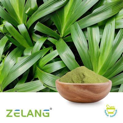 Purchase Bulk Pandan Powder | Ingredients Online