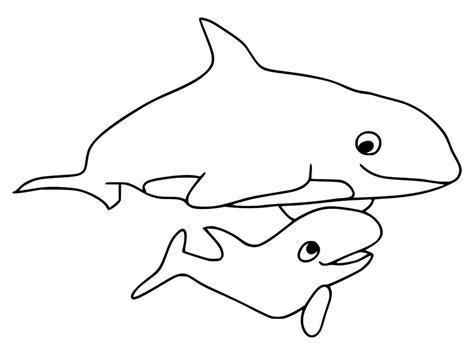 How To Draw A Baby Killer Whale