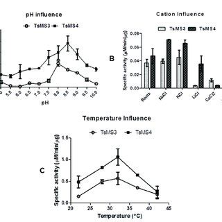 Initial Biochemical Characterization Of The Two Metalloserrulases Using