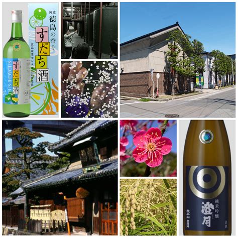 New Sake Tasting! – The Sake Shop