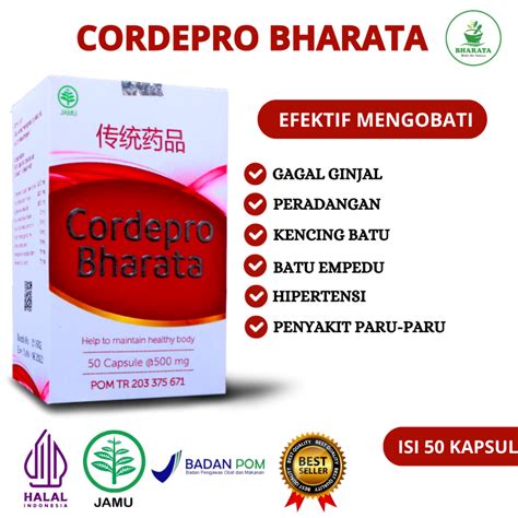 Jual Cordepro Bharata Obat Paru Paru Infeksi Paru ASMA TBC