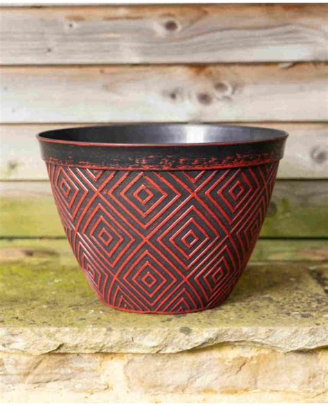 Buy Rare Unusual Exciting Plants Hayloft Black And Red Aztec Planter